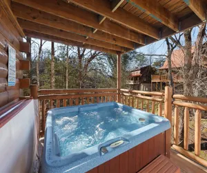 Photo 3 - Moose Tracks