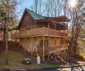 Photo 2 - Moose Tracks