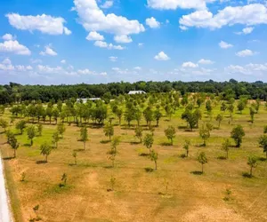Photo 5 - Pecan Farm Haus