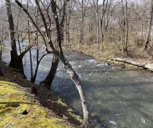 Photo 4 - Gray's Place on Cosby Creek