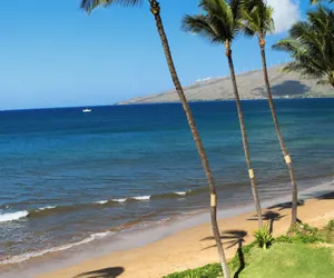 Photo 4 - SUGAR BEACH RESORT, #329