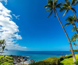 Photo 5 - MAKENA SURF #G101