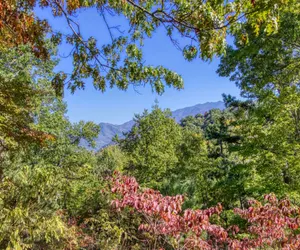 Photo 2 - Gatlinburg Views