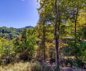 Photo 3 - Gatlinburg Views