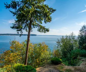 Photo 5 - Oceanview Serenity: A Modern Cabin Between the Sea and Forest