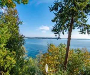 Photo 4 - Oceanview Serenity: A Modern Cabin Between the Sea and Forest