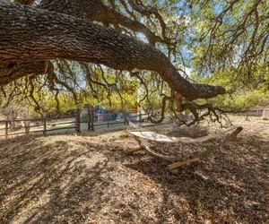 Photo 4 - Mighty Oak Log Cabin