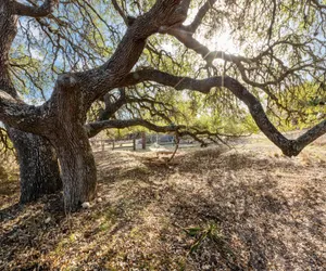 Photo 3 - Mighty Oak Log Cabin