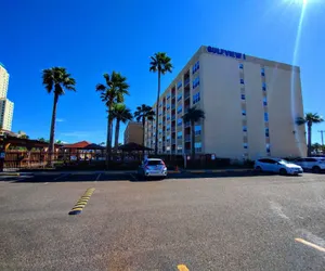 Photo 5 - Gulfview 1 507