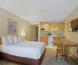 Photo 5 - Foxpine Studio  #112