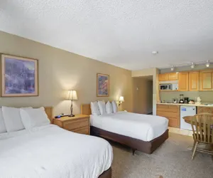 Photo 3 - Foxpine Studio  #112