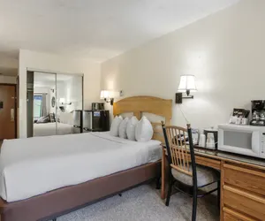 Photo 3 - Foxpine Hotel Style Room with 1 Bed  #206