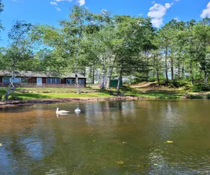 Photo 3 - Butler's Bay Cottage