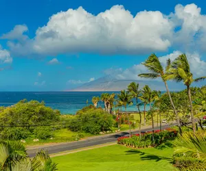 Photo 4 - Maui Kamaole G211