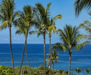 Photo 2 - Kihei Akahi C-507