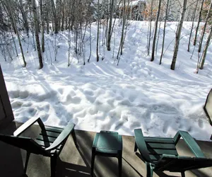 Photo 4 - Snow Flower 136