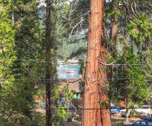 Photo 4 - NVH0581 - Zephyr Cabin