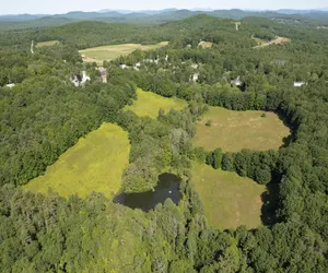 Photo 3 - BRYANT FARM LIMIT 27