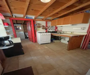 Photo 5 - SWALLOW - LIMIT 4