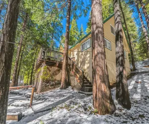 Photo 2 - Cozy, Cute, Cabin in the Woods
