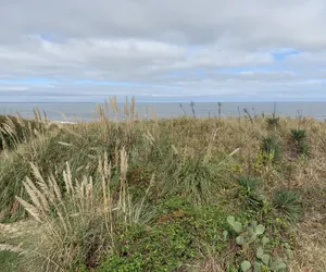 Photo 3 - Sandy Dunes at the Beach - Beachfront, Wi-Fi, Pets