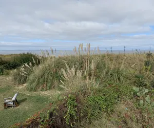 Photo 2 - Sandy Dunes at the Beach - Beachfront, Wi-Fi, Pets