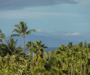 Photo 2 - Palms at Wailea 2106