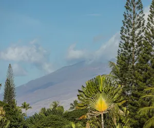 Photo 3 - Palms at Wailea 2106