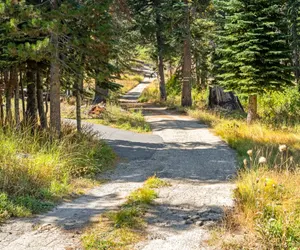 Photo 4 - Walk to the Lake - Ski in/out  Amazing 5 Bdrm - VH#343