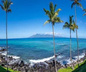 Photo 3 - Noelani 306