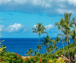 Photo 4 - Wailea Ekahi 49F