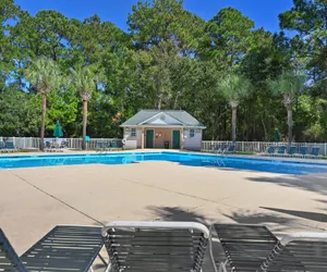 Photo 2 - 4D Crassostrea at True Blue