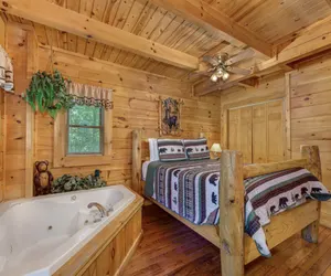 Photo 4 - Bear Secrets