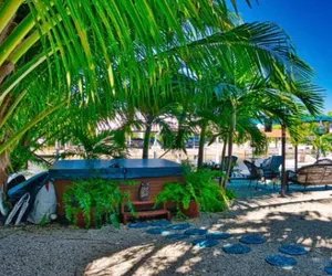 Photo 3 - ParroteyesLower