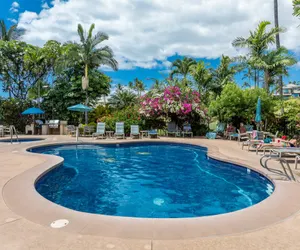 Photo 5 - Grand Champions 12