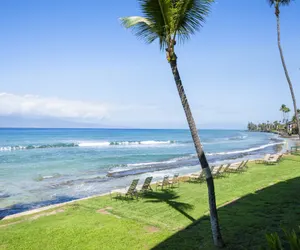 Photo 2 - Paki Maui #103