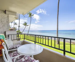 Photo 4 - Paki Maui #103