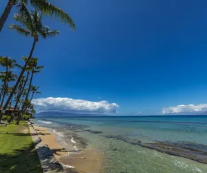 Photo 4 - Paki Maui #103