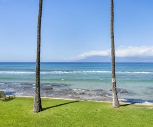 Photo 3 - Paki Maui #103