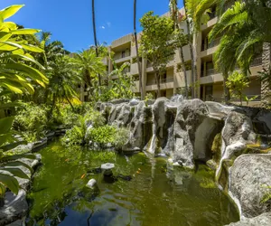 Photo 3 - Paki Maui #103