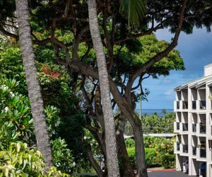 Photo 2 - Kailua Bay Resort#4-206