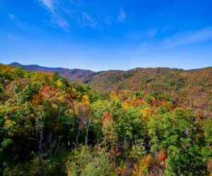 Photo 5 - Splash of Gatlinburg