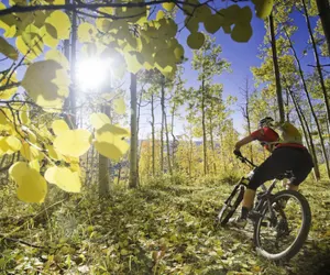 Photo 4 - Hi Country Haus - 10-18