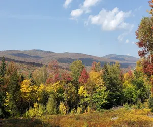Photo 5 - Bear Hill Cabin