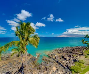 Photo 3 - KIHEI SURFSIDE, #501