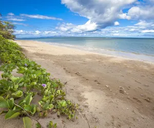 Photo 3 - Kihei Resort 221