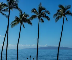 Photo 2 - Maalaea Surf B1