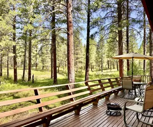Photo 5 - Blue Pine Forest Lodge