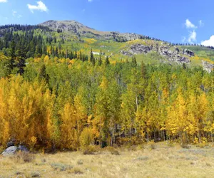 Photo 5 - Switchback - Little Divide