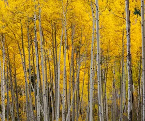 Photo 3 - 121M The Meadow Drive Home